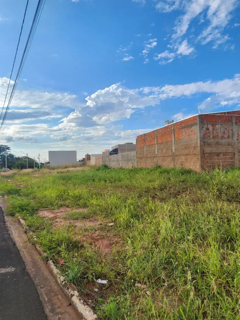 Terreno / Padr&atilde;o em S&atilde;o Jos&eacute; do Rio Preto 