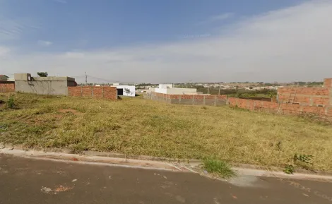 Terreno / Padr&atilde;o em S&atilde;o Jos&eacute; do Rio Preto 