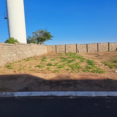 Comprar Terreno / Padr&atilde;o em Cedral R$ 80.000,00 - Foto 2