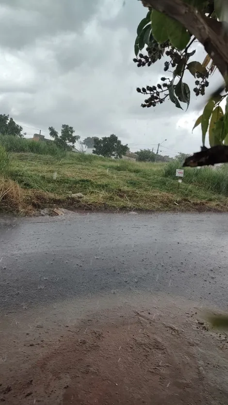 Terreno / Padr&atilde;o em Bady Bassitt 