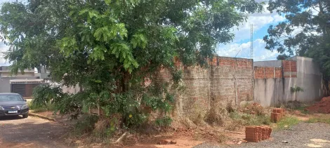 Comprar Comercial / Sal&atilde;o em Ipigu&aacute; R$ 250.000,00 - Foto 3