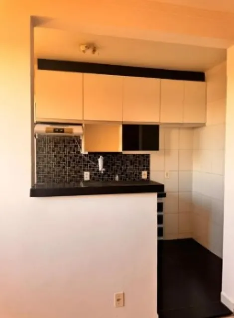 Alugar Apartamento / Padr&atilde;o em S&atilde;o Jos&eacute; do Rio Preto R$ 1.200,00 - Foto 8