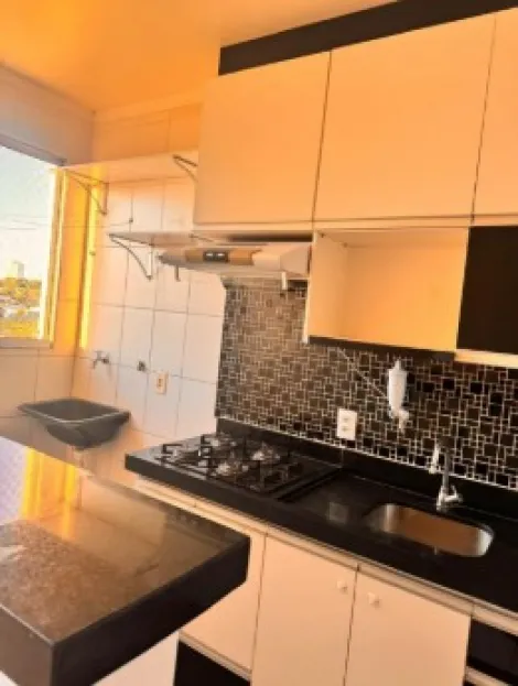 Alugar Apartamento / Padr&atilde;o em S&atilde;o Jos&eacute; do Rio Preto R$ 1.200,00 - Foto 11