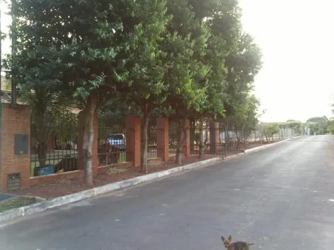 Comprar Rural / Rancho em Fronteira R$ 950.000,00 - Foto 7