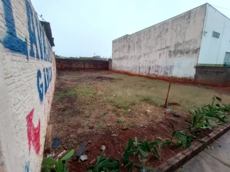 Comprar Terreno / Padr&atilde;o em S&atilde;o Jos&eacute; do Rio Preto R$ 190.000,00 - Foto 4