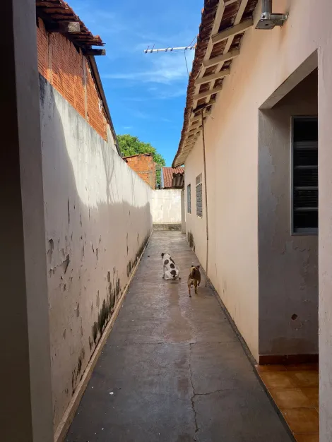 Comprar Casa / Padr&atilde;o em S&atilde;o Jos&eacute; do Rio Preto R$ 250.000,00 - Foto 10