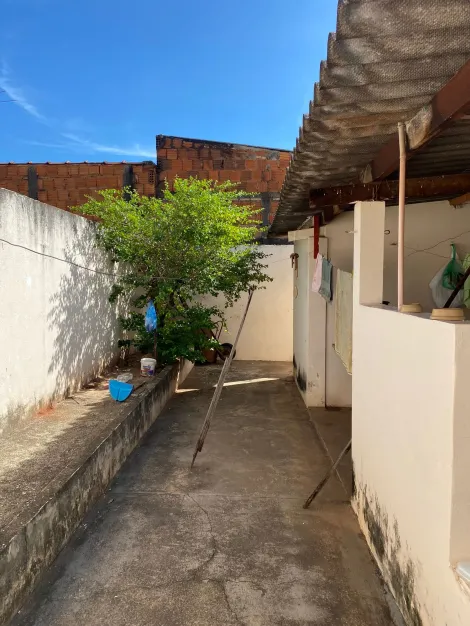 Comprar Casa / Padr&atilde;o em S&atilde;o Jos&eacute; do Rio Preto R$ 250.000,00 - Foto 12
