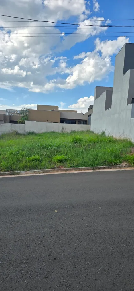 Comprar Terreno / Condom&iacute;nio em S&atilde;o Jos&eacute; do Rio Preto R$ 239.000,00 - Foto 2