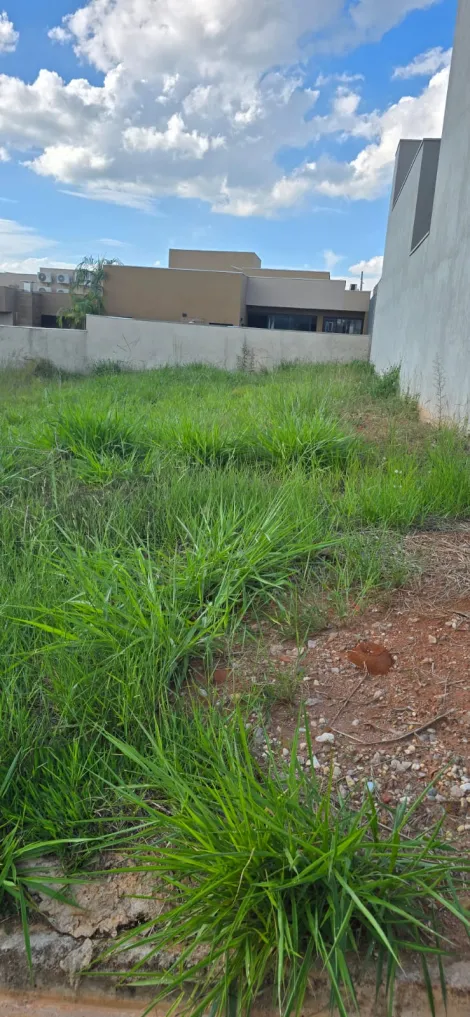 Comprar Terreno / Condom&iacute;nio em S&atilde;o Jos&eacute; do Rio Preto R$ 239.000,00 - Foto 3