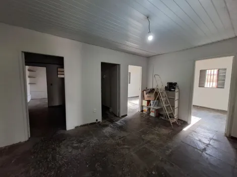 Alugar Casa / Padr&atilde;o em S&atilde;o Jos&eacute; do Rio Preto R$ 1.300,00 - Foto 4