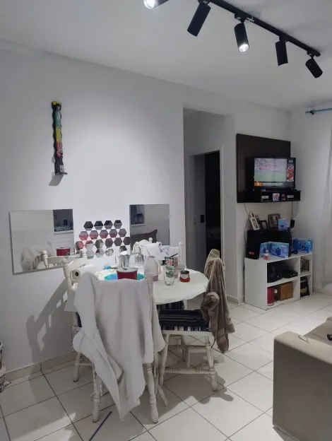 Alugar Apartamento / Padr&atilde;o em S&atilde;o Jos&eacute; do Rio Preto. apenas R$ 1.255,00