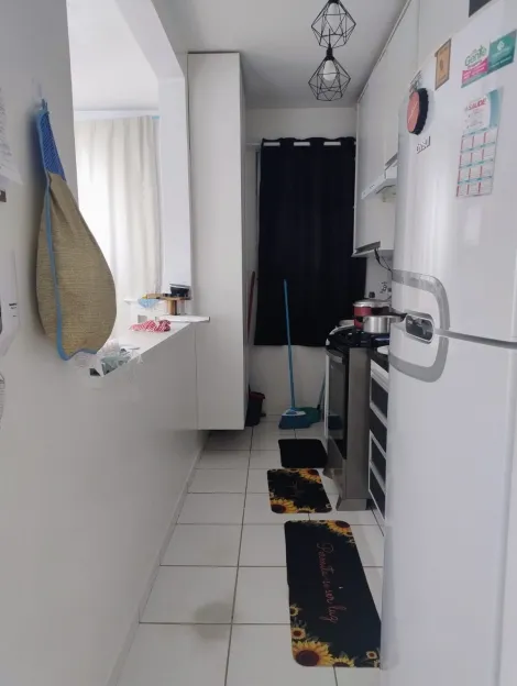 Alugar Apartamento / Padr&atilde;o em S&atilde;o Jos&eacute; do Rio Preto R$ 1.255,00 - Foto 2