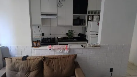 Alugar Apartamento / Padr&atilde;o em S&atilde;o Jos&eacute; do Rio Preto R$ 1.255,00 - Foto 7
