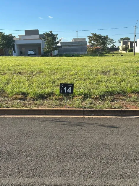 Comprar Terreno / Condom&iacute;nio em Ipigu&aacute; R$ 100.000,00 - Foto 4