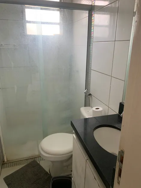 Alugar Apartamento / Padr&atilde;o em S&atilde;o Jos&eacute; do Rio Preto R$ 1.200,00 - Foto 8