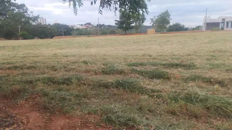 Alugar Terreno / Condom&iacute;nio em Mirassol. apenas R$ 130.000,00