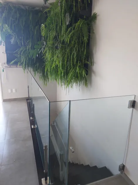 Comprar Apartamento / Padr&atilde;o em S&atilde;o Jos&eacute; do Rio Preto R$ 500.000,00 - Foto 3