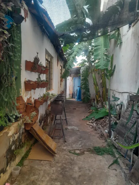 Comprar Casa / Padr&atilde;o em S&atilde;o Jos&eacute; do Rio Preto R$ 650.000,00 - Foto 11
