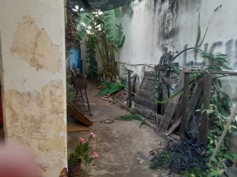 Comprar Casa / Padr&atilde;o em S&atilde;o Jos&eacute; do Rio Preto R$ 650.000,00 - Foto 12