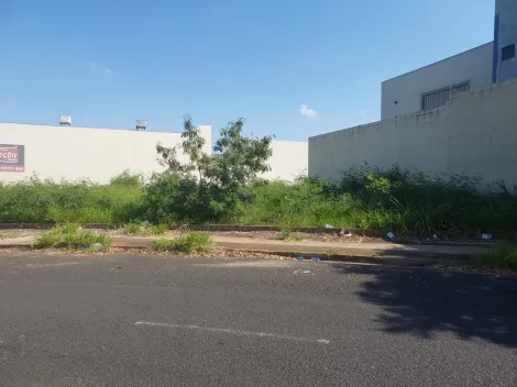 Terreno / Padr&atilde;o em S&atilde;o Jos&eacute; do Rio Preto 