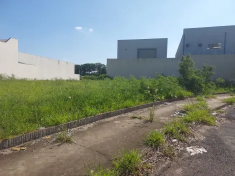 Comprar Terreno / Padr&atilde;o em S&atilde;o Jos&eacute; do Rio Preto R$ 1.600.000,00 - Foto 2