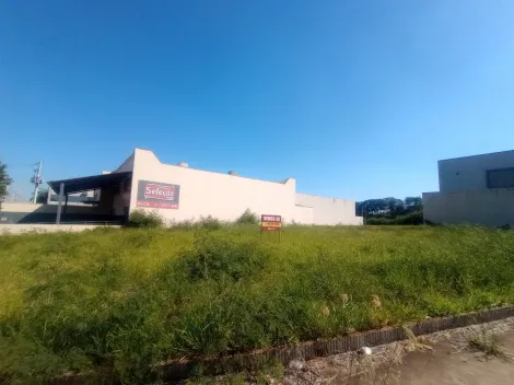 Comprar Terreno / Padr&atilde;o em S&atilde;o Jos&eacute; do Rio Preto R$ 1.600.000,00 - Foto 4
