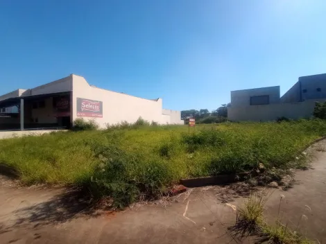 Comprar Terreno / Padr&atilde;o em S&atilde;o Jos&eacute; do Rio Preto R$ 1.600.000,00 - Foto 5