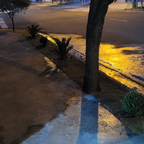 Comprar Casa / Padr&atilde;o em S&atilde;o Jos&eacute; do Rio Preto R$ 550.000,00 - Foto 12