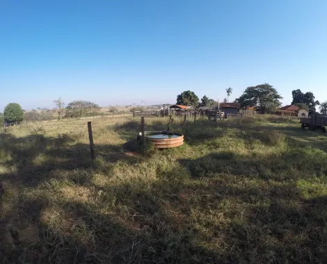 Rural / S&iacute;tio em Fernand&oacute;polis 