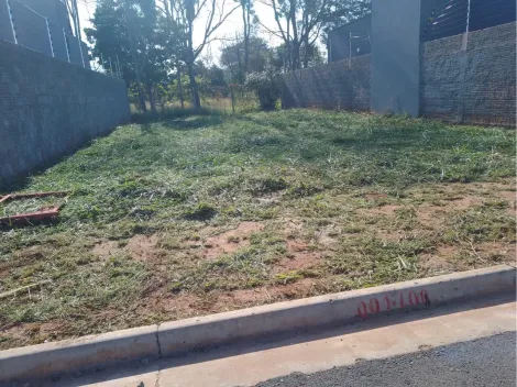 Comprar Terreno / Padr&atilde;o em S&atilde;o Jos&eacute; do Rio Preto R$ 180.000,00 - Foto 2