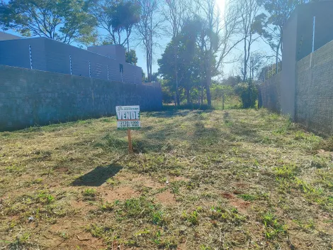 Comprar Terreno / Padr&atilde;o em S&atilde;o Jos&eacute; do Rio Preto R$ 180.000,00 - Foto 3