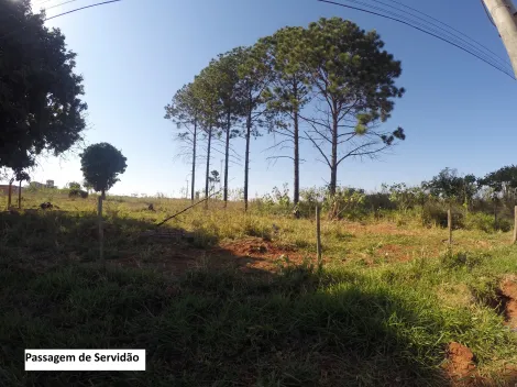 Terreno / &Aacute;rea em S&atilde;o Jos&eacute; do Rio Preto 