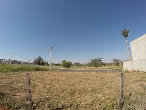 Comprar Terreno / &Aacute;rea em S&atilde;o Jos&eacute; do Rio Preto R$ 10.700.000,00 - Foto 4