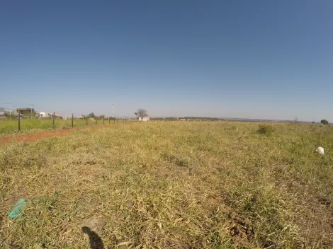 Comprar Terreno / &Aacute;rea em S&atilde;o Jos&eacute; do Rio Preto R$ 10.700.000,00 - Foto 16