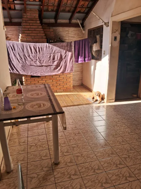 Alugar Casa / Padr&atilde;o em S&atilde;o Jos&eacute; do Rio Preto. apenas R$ 315.000,00