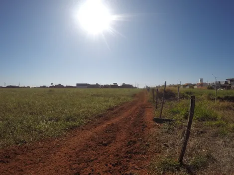 Comprar Terreno / &Aacute;rea em S&atilde;o Jos&eacute; do Rio Preto R$ 17.000.000,00 - Foto 14