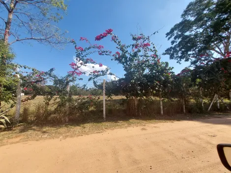Comprar Terreno / &Aacute;rea em S&atilde;o Jos&eacute; do Rio Preto R$ 900.000,00 - Foto 6