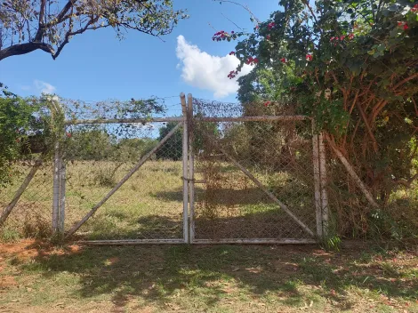 Alugar Terreno / &Aacute;rea em S&atilde;o Jos&eacute; do Rio Preto. apenas R$ 800.000,00
