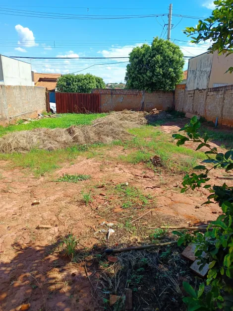 Alugar Terreno / Padr&atilde;o em S&atilde;o Jos&eacute; do Rio Preto. apenas R$ 260.000,00