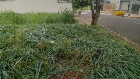 Alugar Terreno / Padr&atilde;o em S&atilde;o Jos&eacute; do Rio Preto. apenas R$ 120.000,00