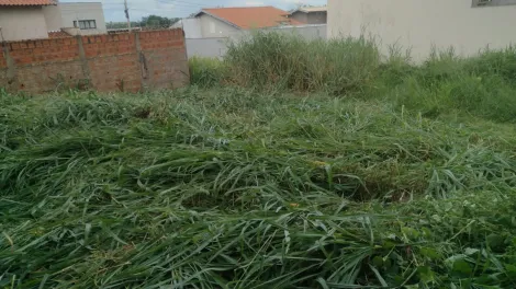 Comprar Terreno / Padr&atilde;o em S&atilde;o Jos&eacute; do Rio Preto R$ 120.000,00 - Foto 2