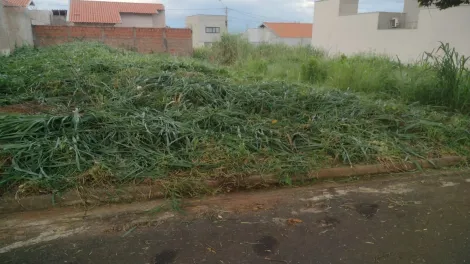 Comprar Terreno / Padr&atilde;o em S&atilde;o Jos&eacute; do Rio Preto R$ 120.000,00 - Foto 3