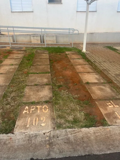 Comprar Apartamento / Padr&atilde;o em S&atilde;o Jos&eacute; do Rio Preto R$ 195.000,00 - Foto 11