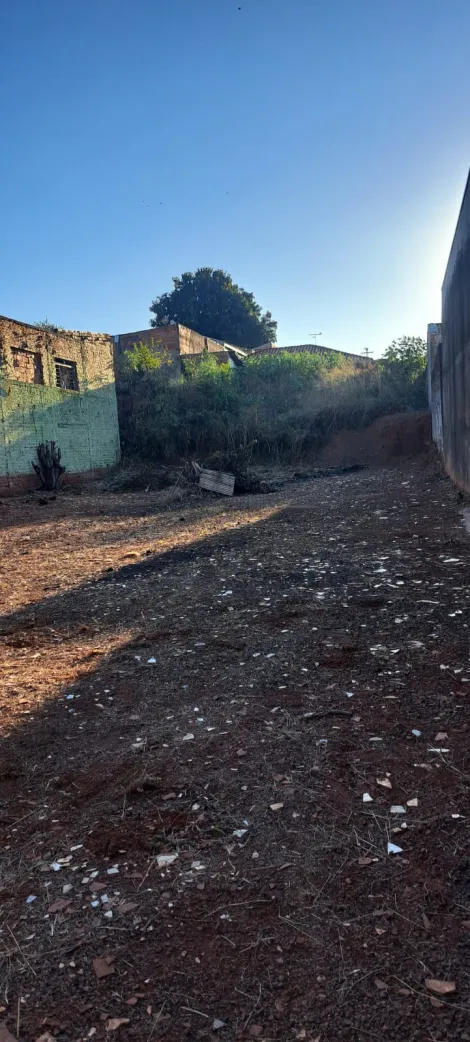 Comprar Terreno / Padr&atilde;o em S&atilde;o Jos&eacute; do Rio Preto R$ 1.000.000,00 - Foto 2