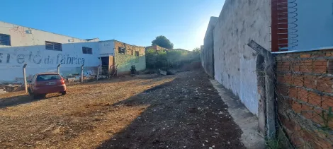 Comprar Terreno / Padr&atilde;o em S&atilde;o Jos&eacute; do Rio Preto R$ 1.000.000,00 - Foto 3