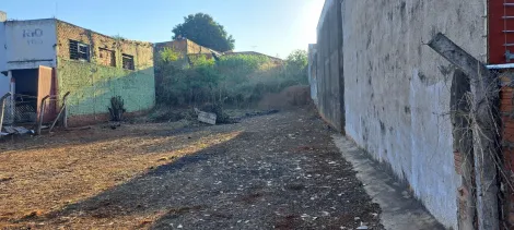 Terreno / Padr&atilde;o em S&atilde;o Jos&eacute; do Rio Preto 