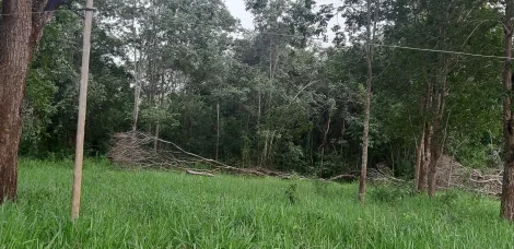 Comprar Rural / S&iacute;tio em Ituiutaba R$ 6.000.000,00 - Foto 6