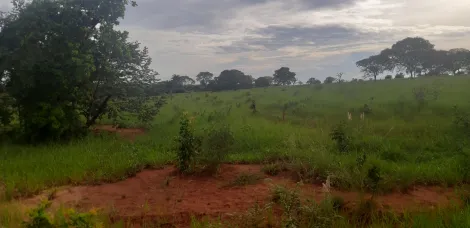 Comprar Rural / S&iacute;tio em Ituiutaba R$ 6.000.000,00 - Foto 7
