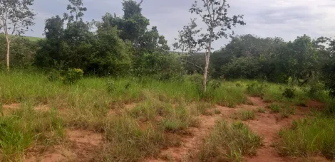 Comprar Rural / S&iacute;tio em Ituiutaba R$ 6.000.000,00 - Foto 12