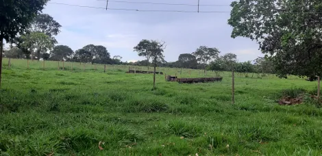 Comprar Rural / S&iacute;tio em Ituiutaba R$ 6.000.000,00 - Foto 13